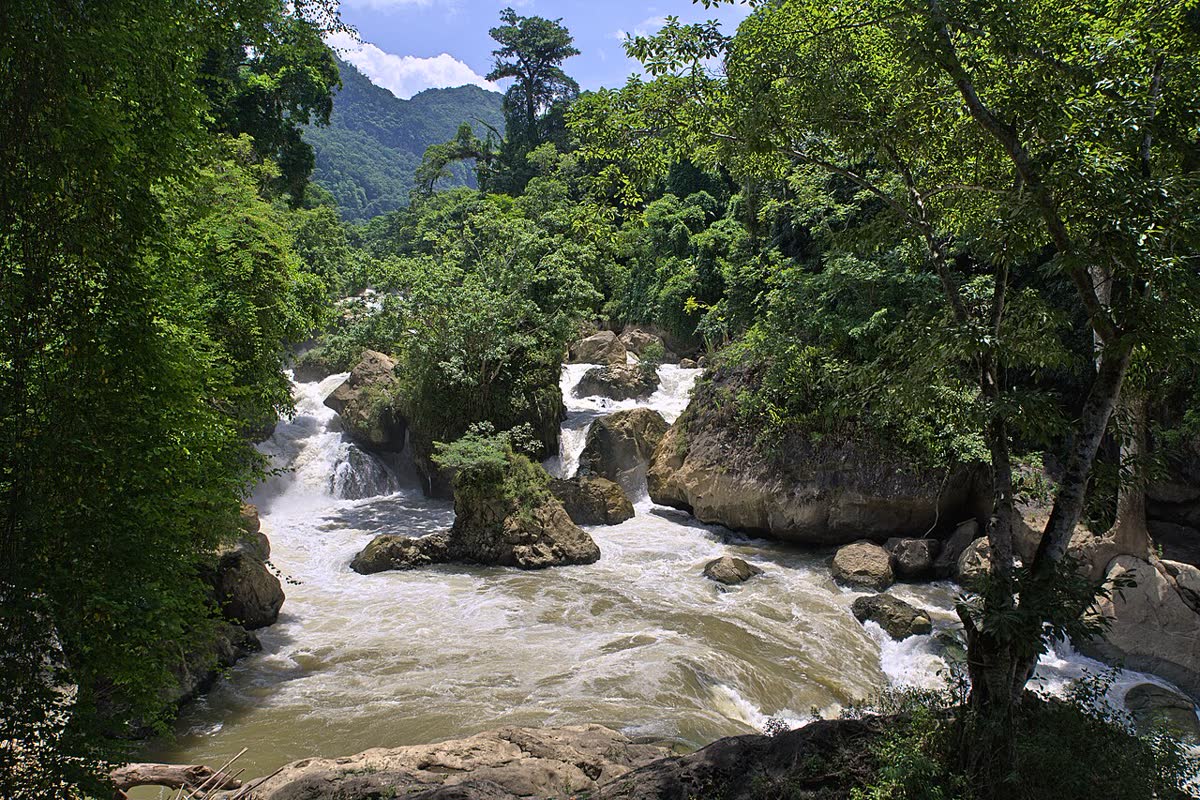 Dau Dang Waterfall, white water among rocks and forest