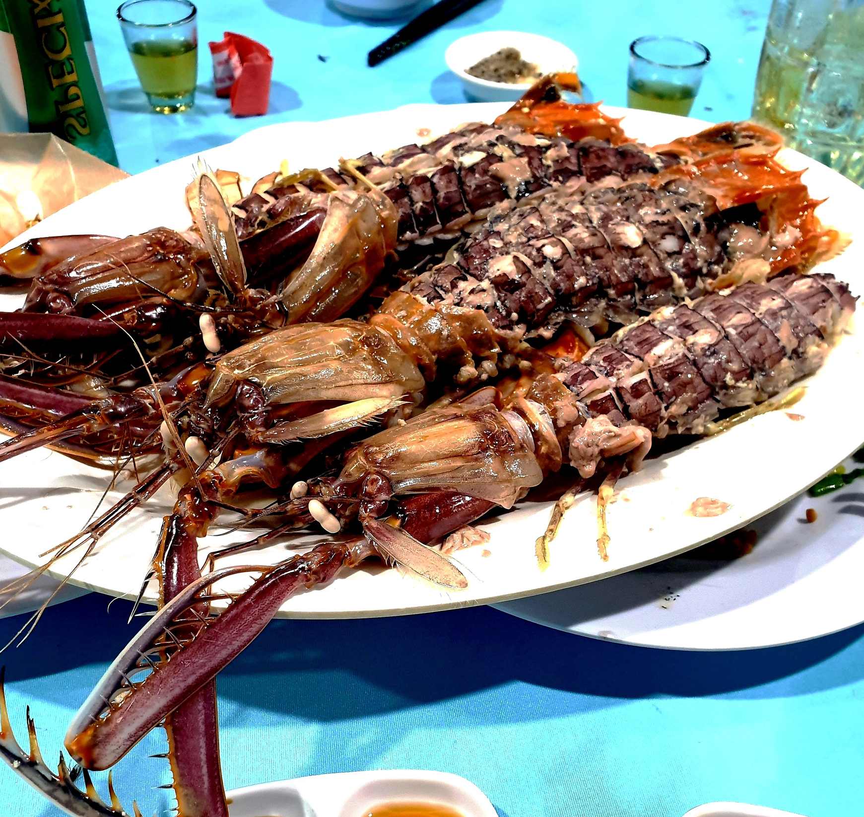 Bề bề, Bề bề