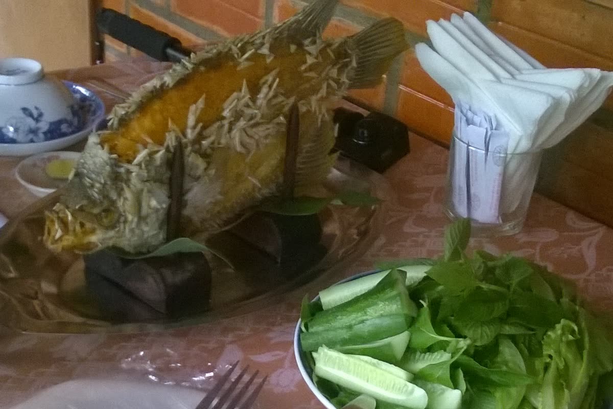 Crisp elephant-ear fish, Cá tai tượng chiên xù