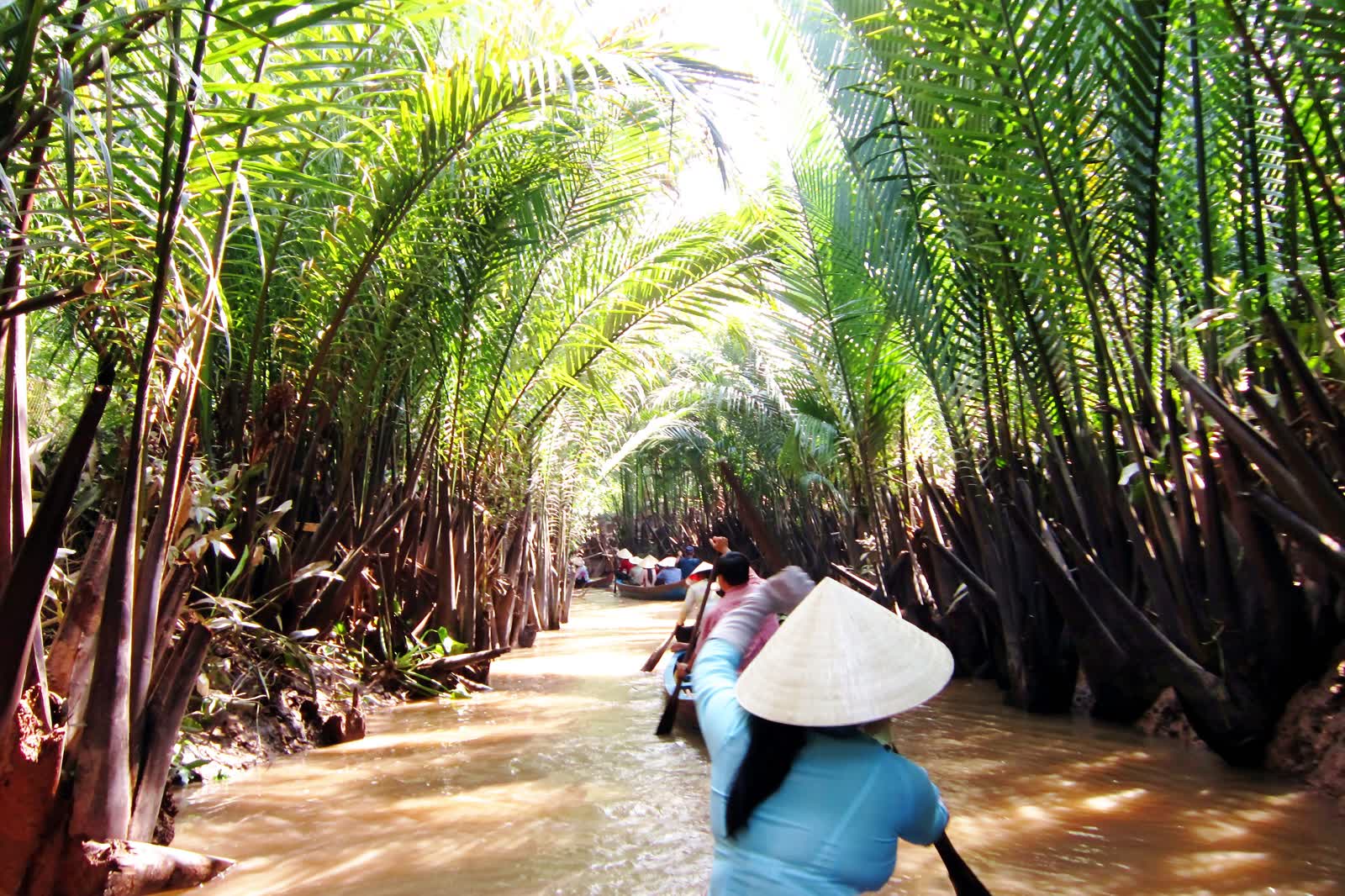 A rower in a sampan on a palm creek at Cồn Quy