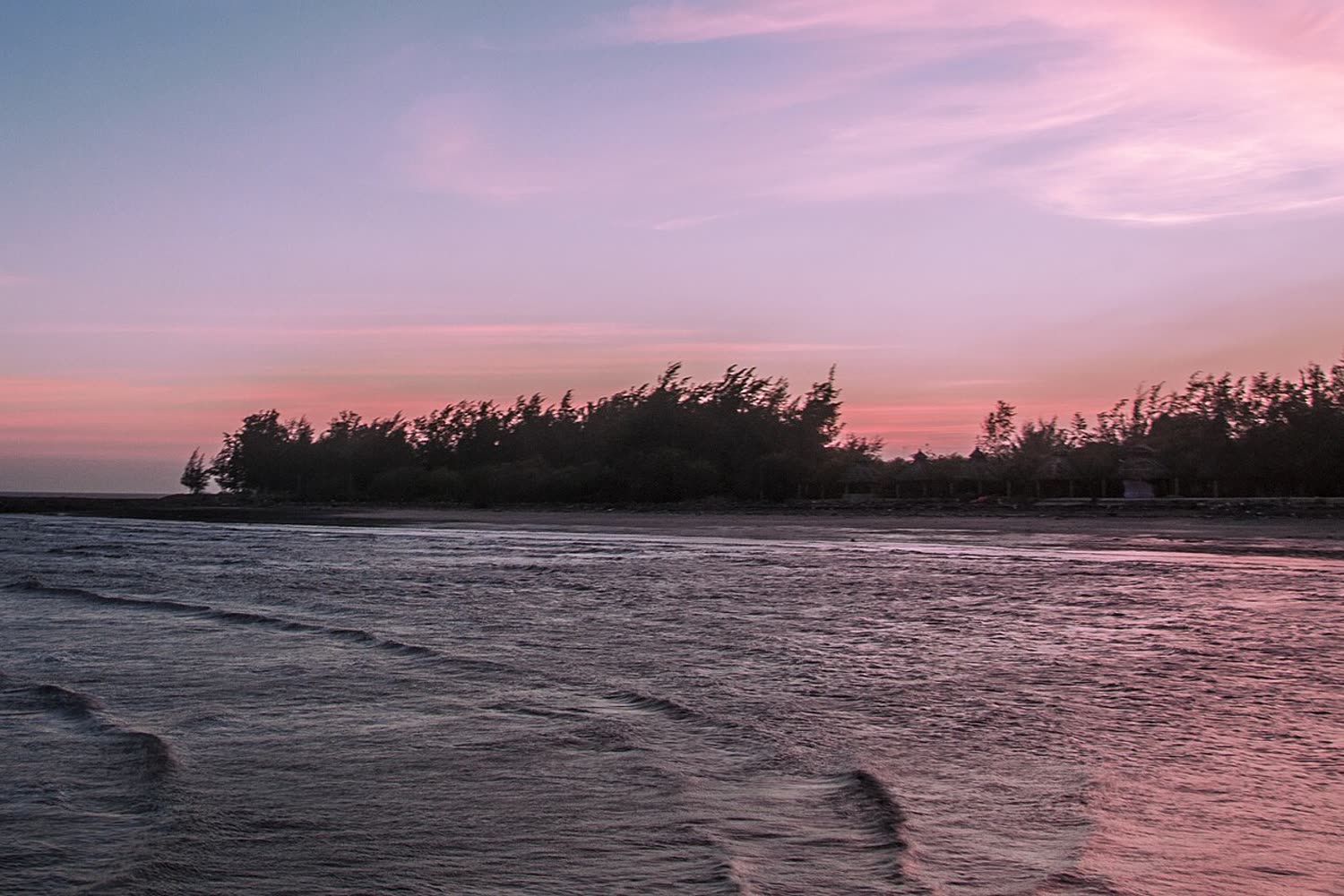 Dawn light on the water and casuarina at the Can Gio shore