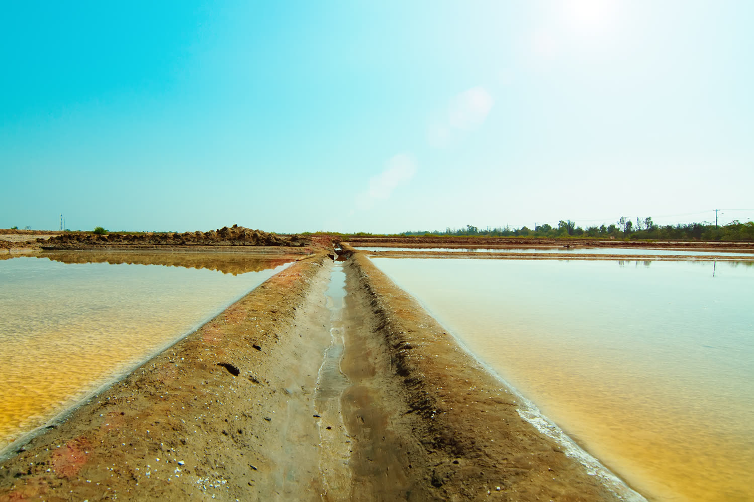 A path between sunlit salt pans at Cần Thạnh