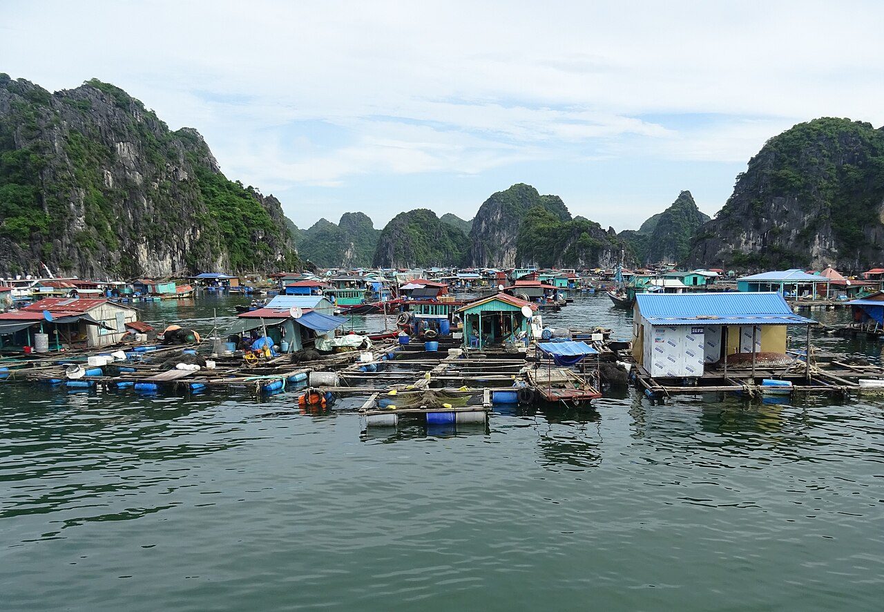 Floating houses moored under a limestone outcrop at Cai Beo