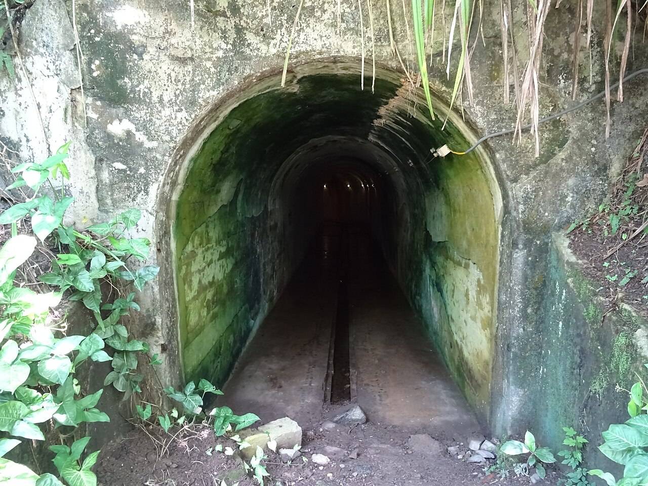 Moss-covered tunnel entrance into the hillside at Cannon Fort