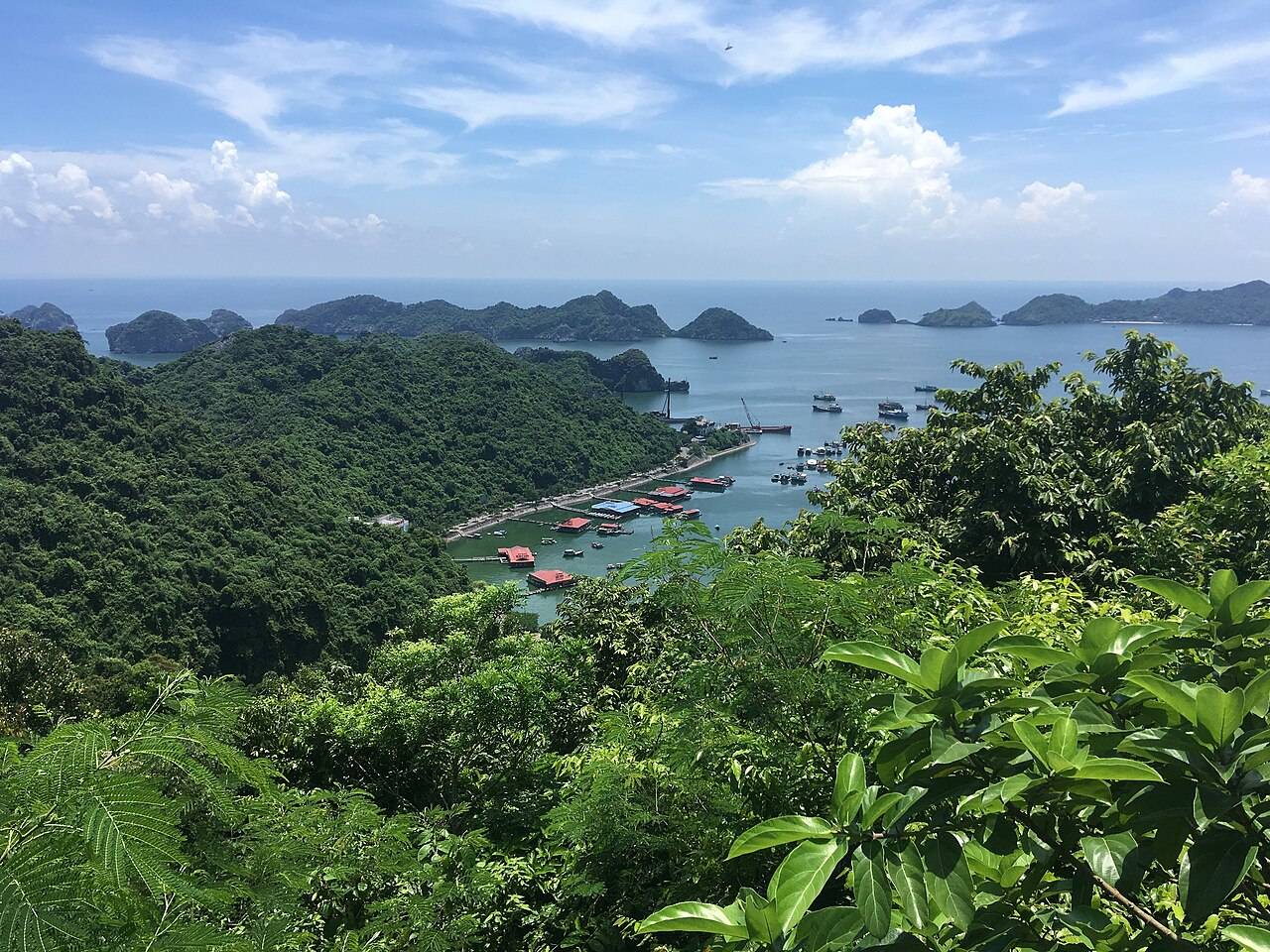 Boats at the harbor and Lan Ha's islands, seen from the fort hill