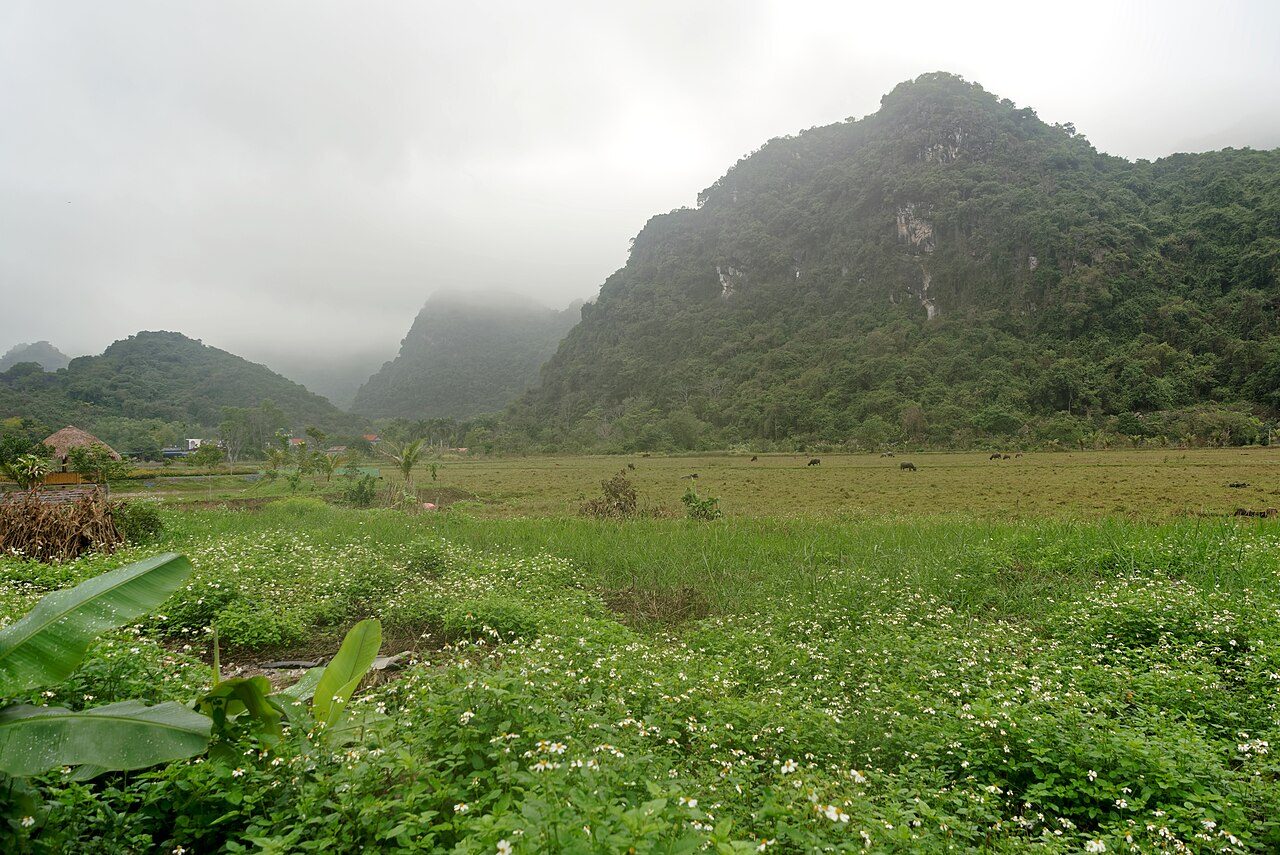 Viet Hai Village