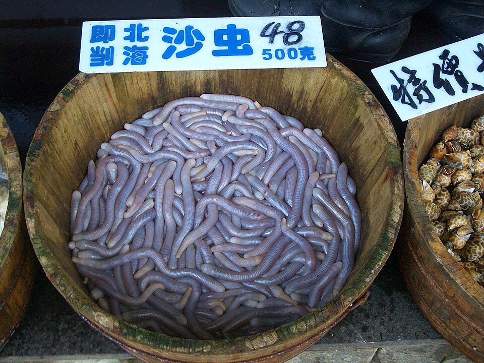 Sa sung, Sá sùng