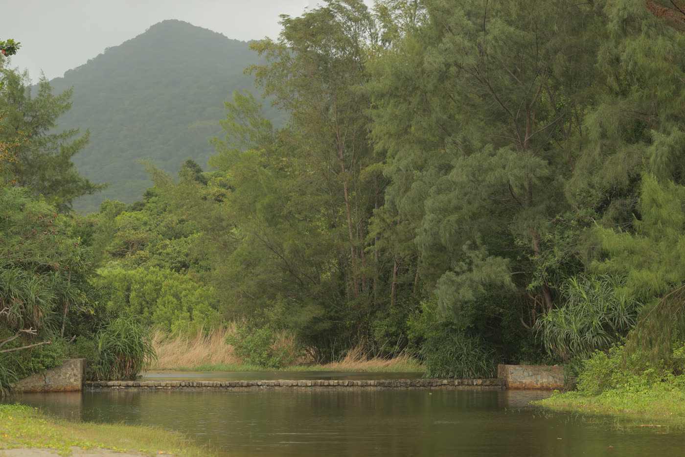 Con Dao National Park