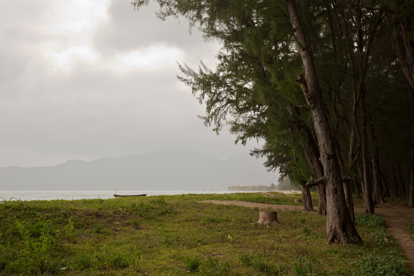 Casuarina trees along a grassy shore with a small boat and a hazy ridge across the water
