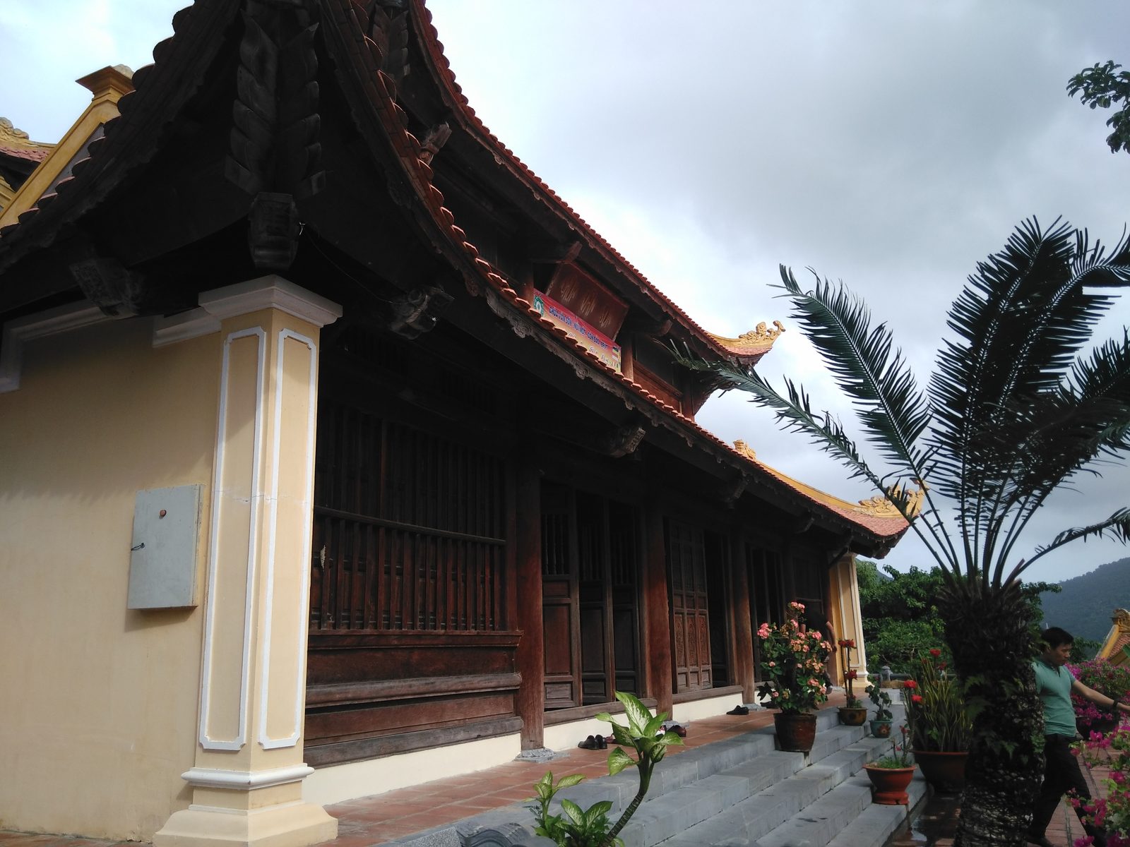 The wooden hall of Van Son Pagoda under a curved tiled roof, with steps and a palm