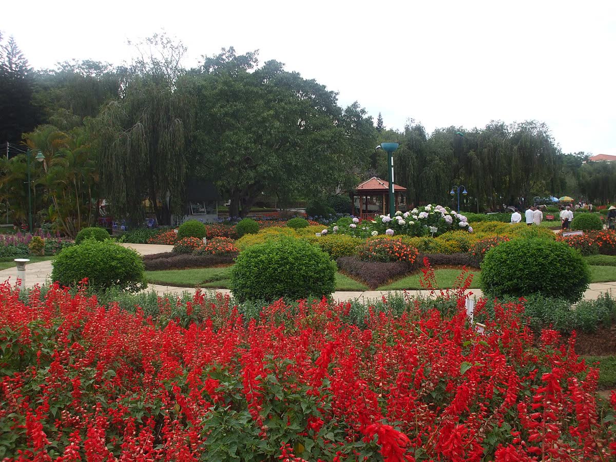 Flower beds and a path in the Da Lat city flower garden