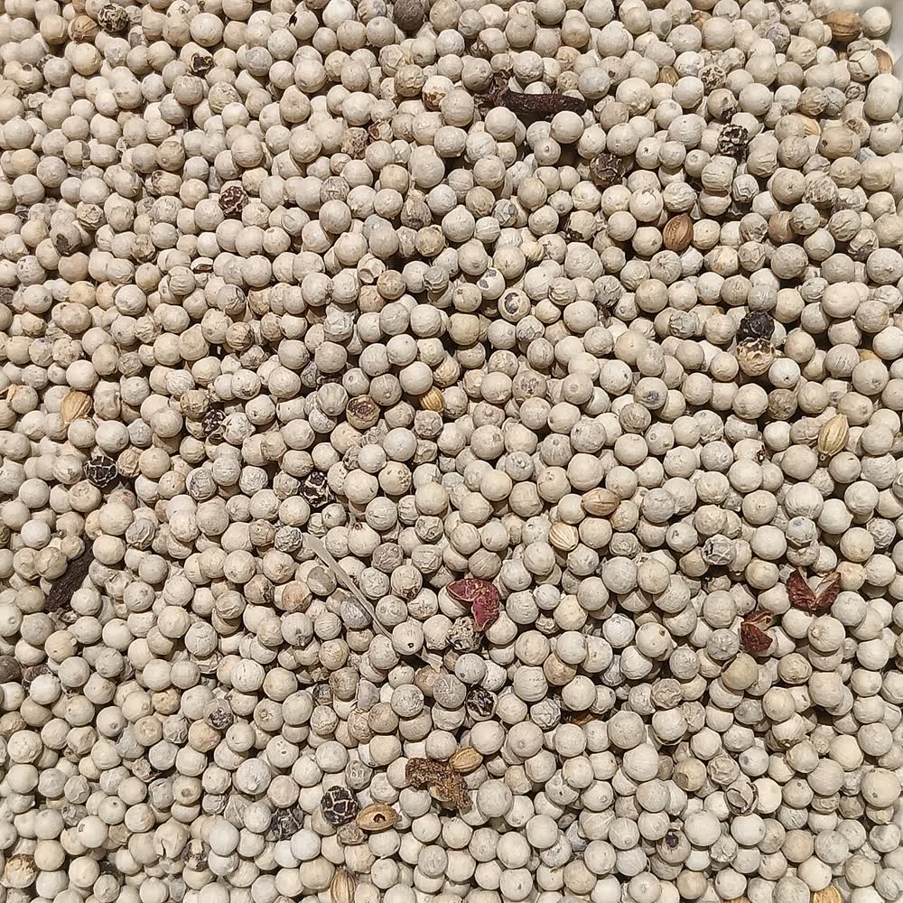 Dak N'rung pepper, Hạt tiêu Đắk N'rung