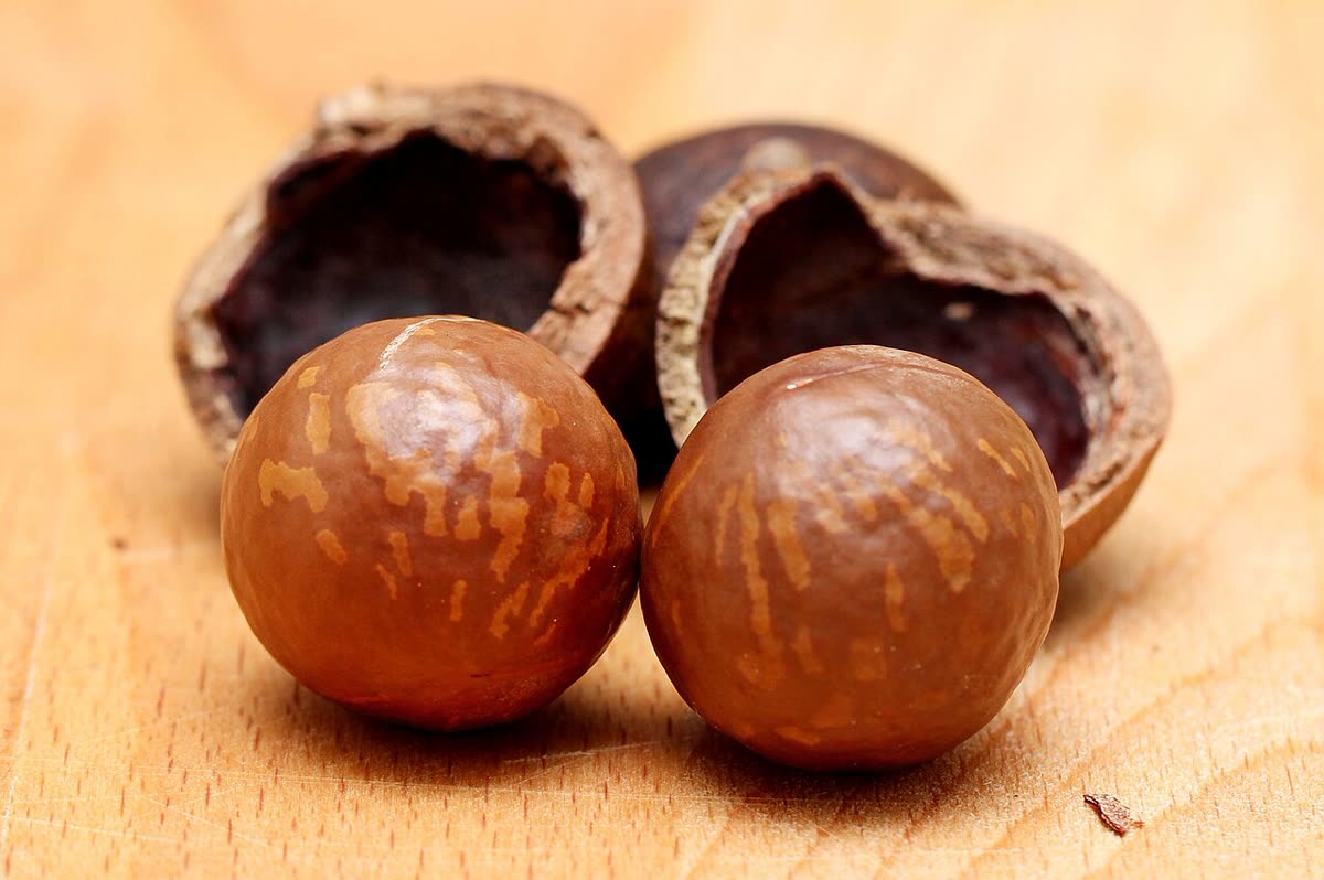 Dried macadamia, Mắc ca sấy