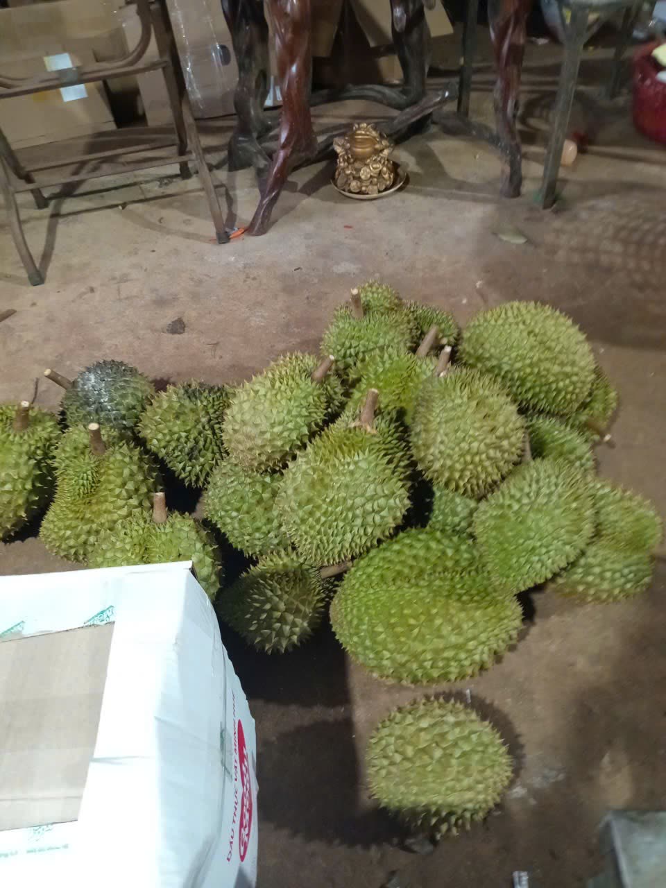Durian, Sầu riêng