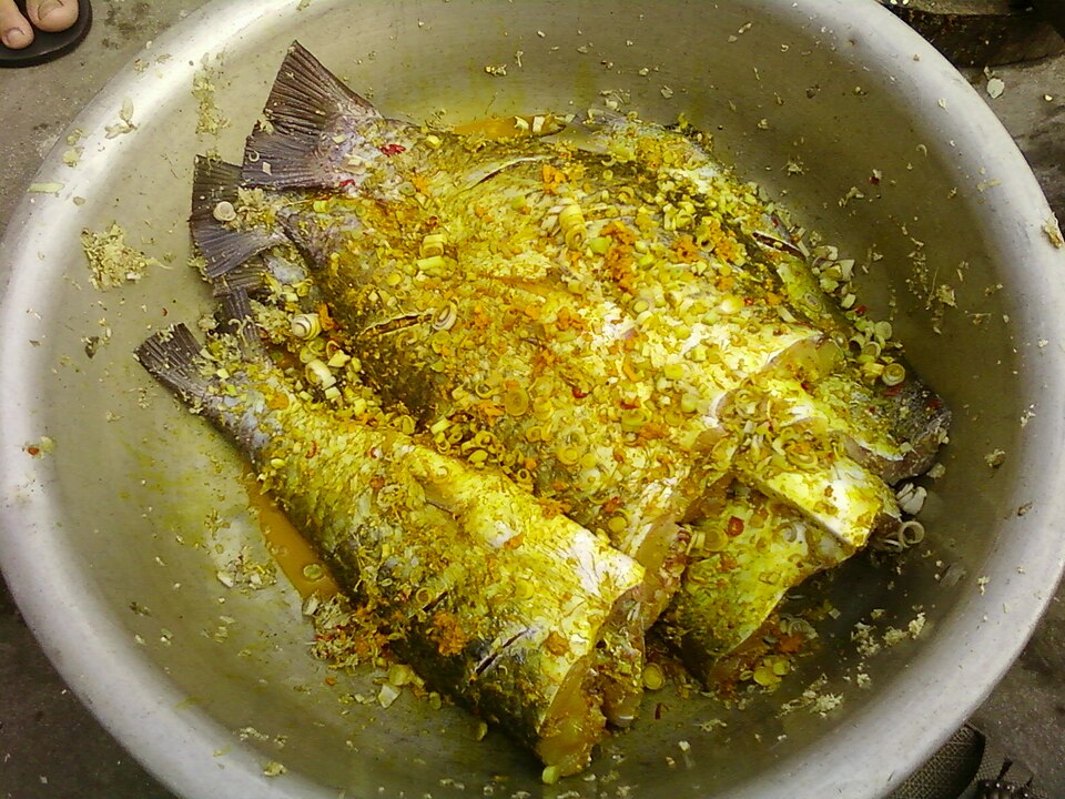Ca mu do, Cá mú đỏ