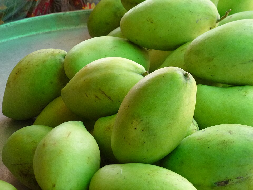 Goi xoai kho ca loc