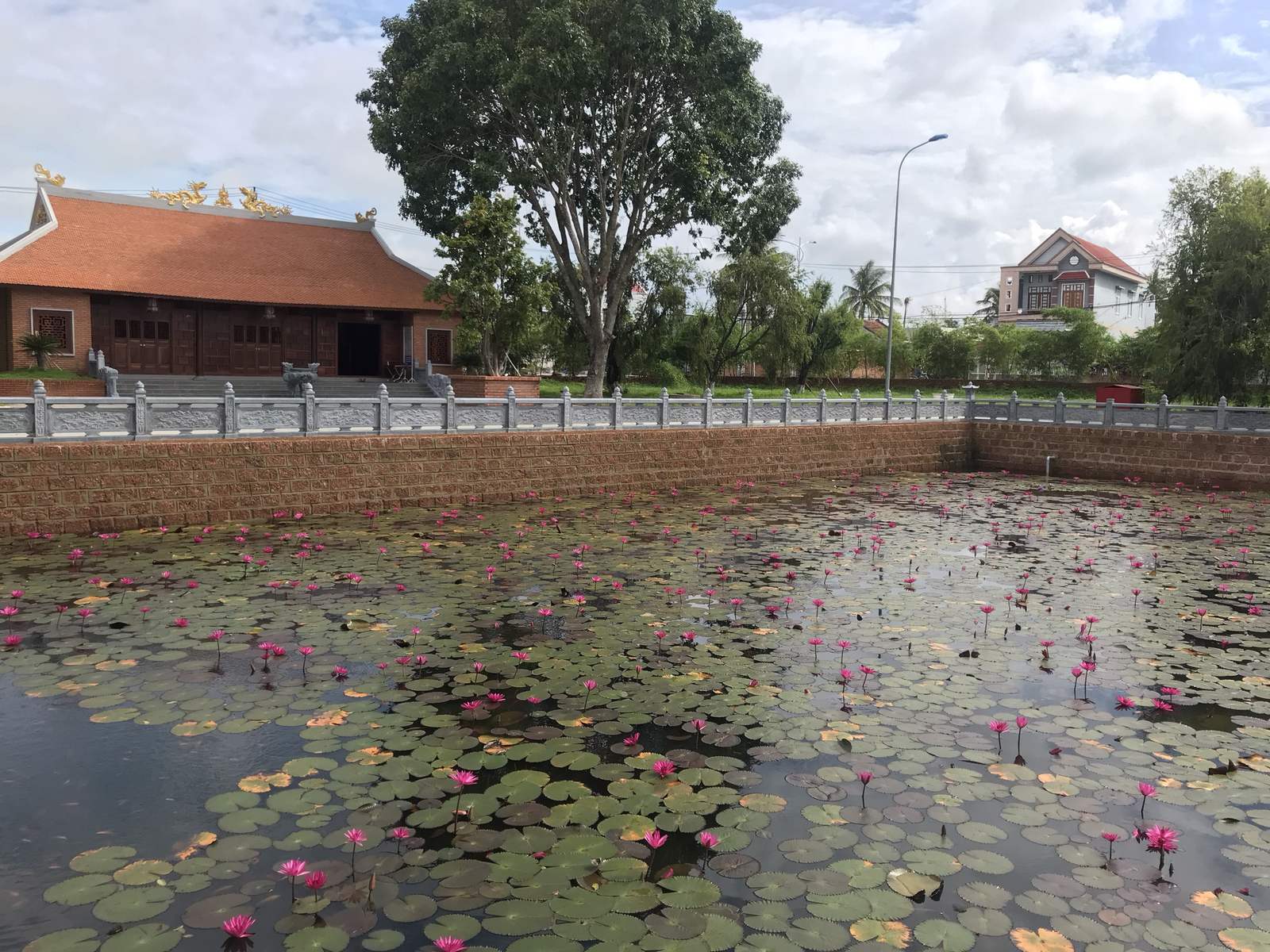 Tiled communal hall of An Khê Đình behind a brick wall and a pond of pink lotus
