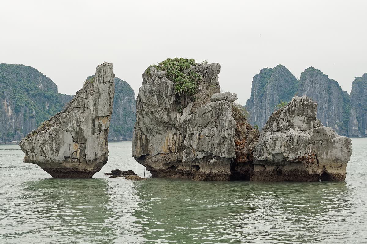 Fighting Cock Islet