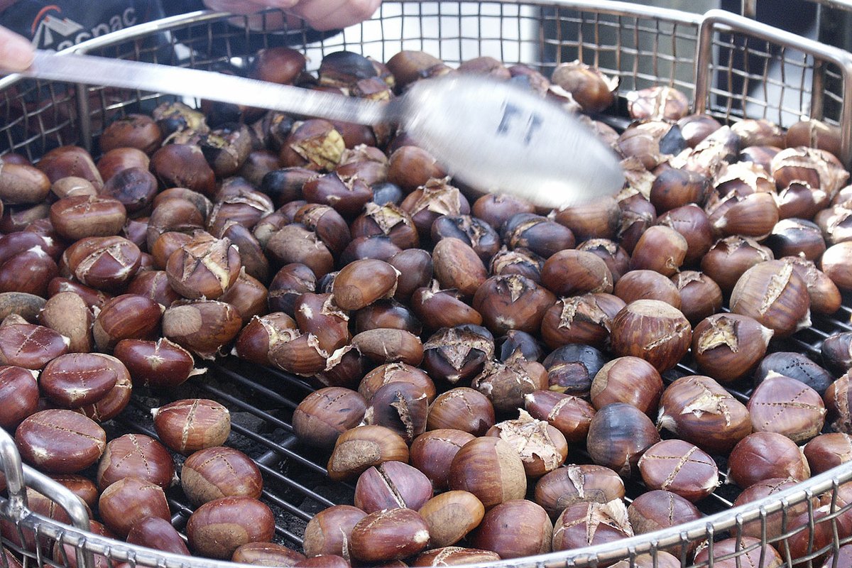 Trung Khanh chestnut, Hạt dẻ Trùng Khánh