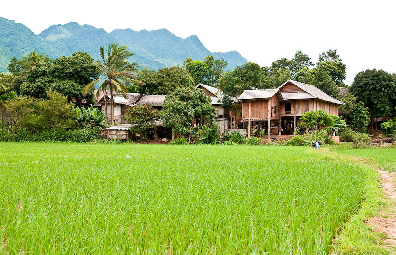 Mai Chau, Mai Châu