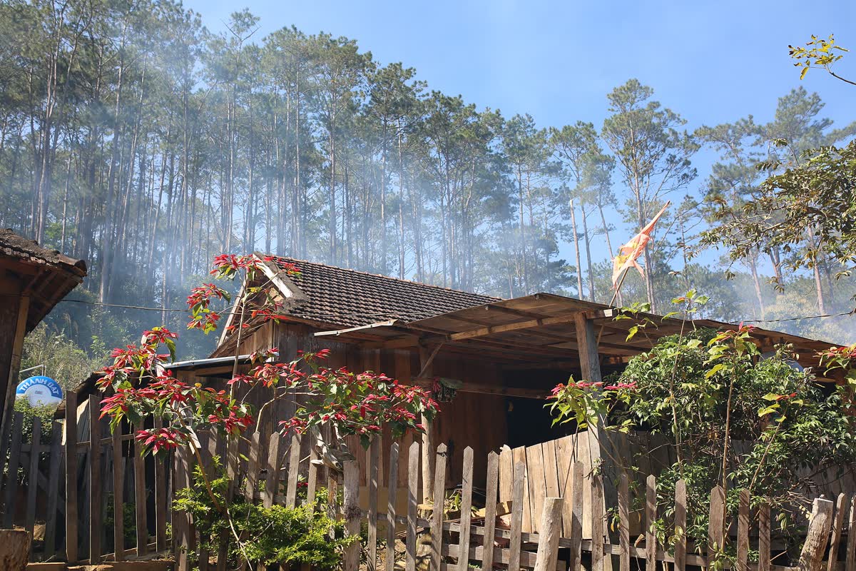 A wooden house and fence under tall pine at Kon Pring village