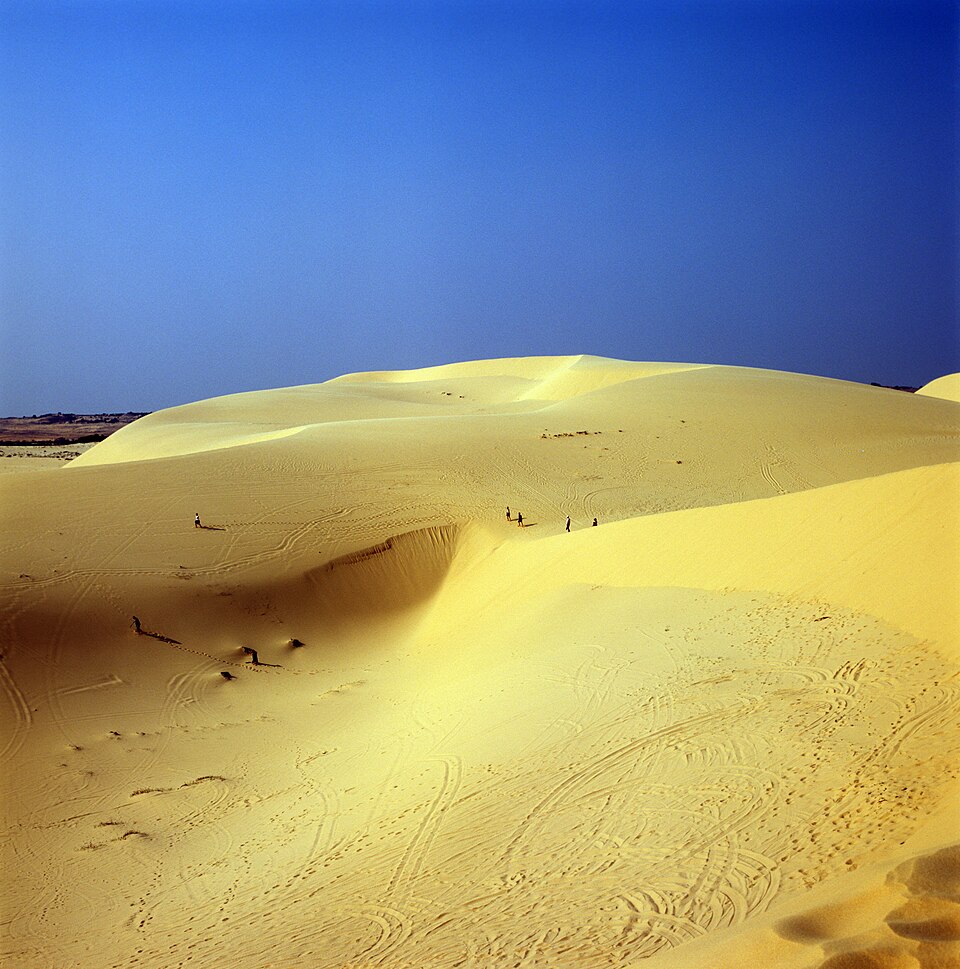 White dunes