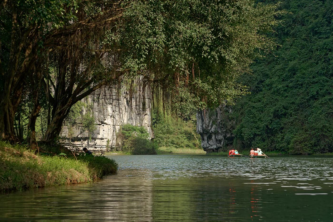Two sampans on the river beneath a limestone cliff and a banyan at Tràng An