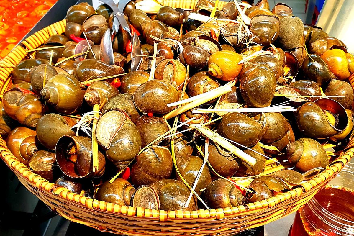 Oc hap sa gung, Ốc hấp sả gừng