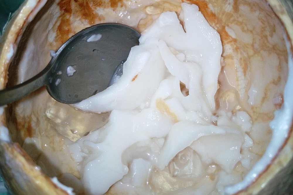 Coconut