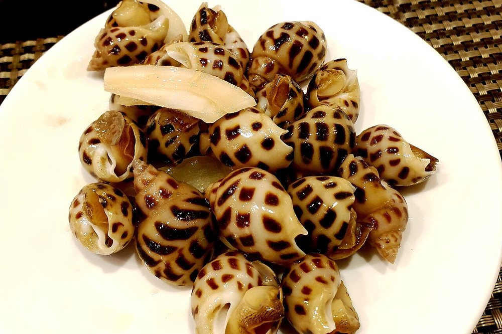 Sea snails, Ốc