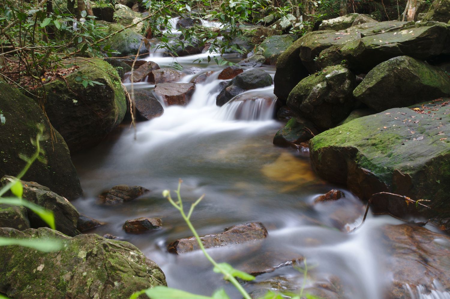 Suoi Tranh stream flowing over rocks in the forest on Phu Quoc