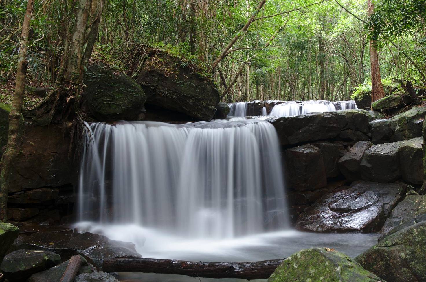 A fall at Suối Tranh, dropping over dark rocks into the forest pool