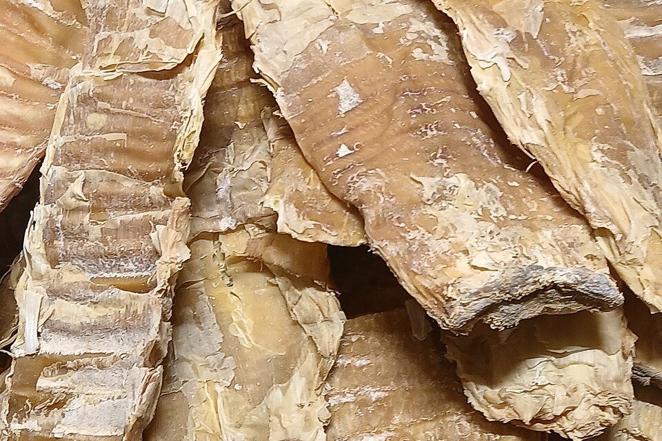 Dried bamboo shoot