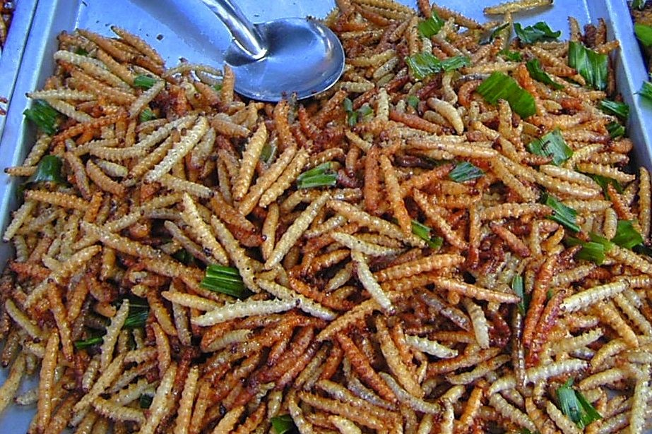 Bamboo grub
