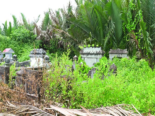 Cha ca, Chả cá Quy Nhơn