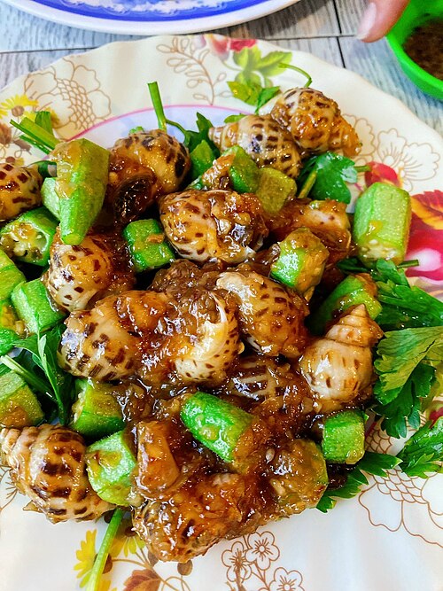 Oc, Ốc