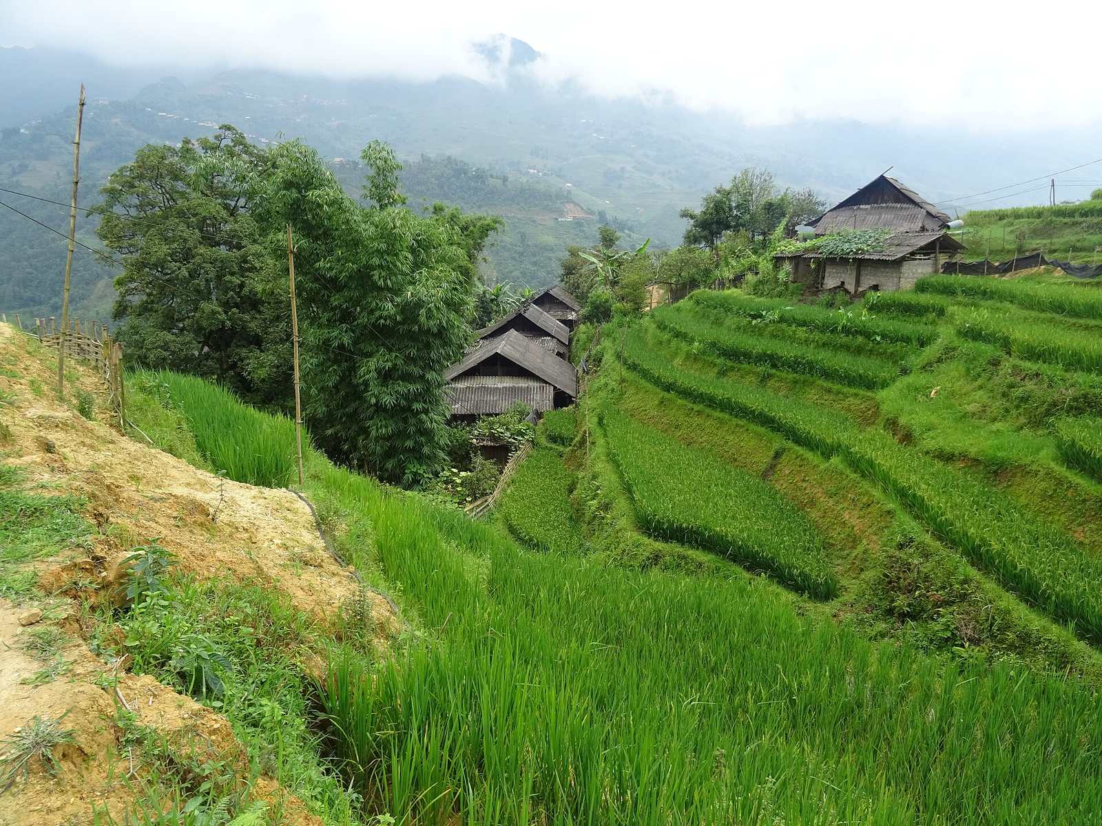 Lao Chai