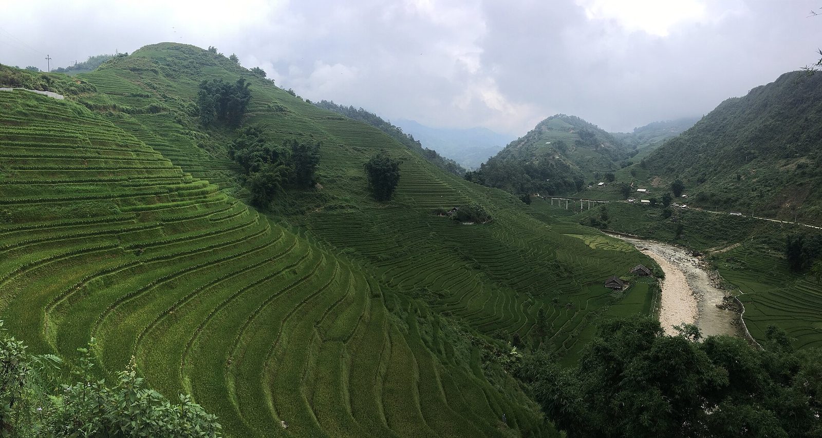 Curved rice terraces descending to the Muong Hoa stream in Sa Pa