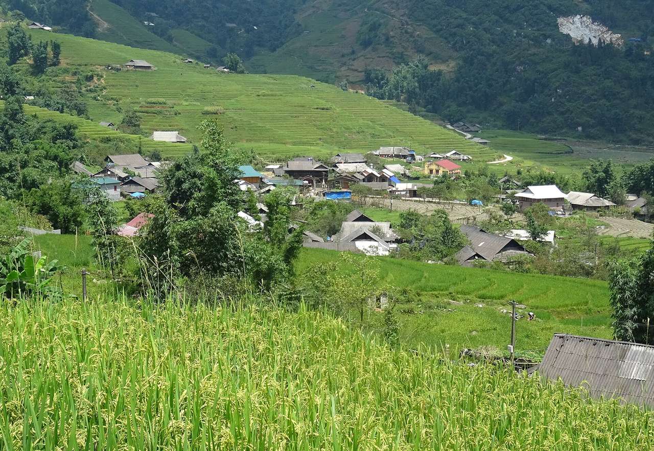 Ta Phin village roofs among green and yellow rice terraces