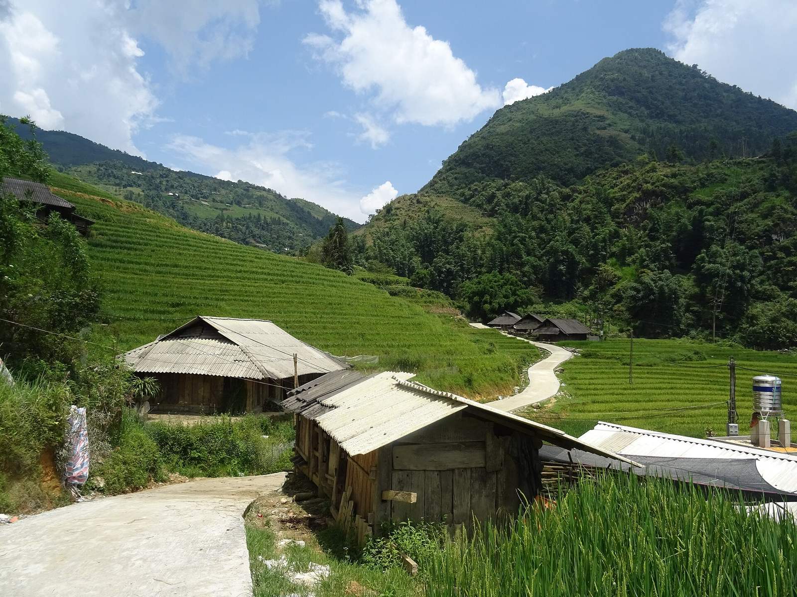 Houses, the path, and terraces at Ta Phin