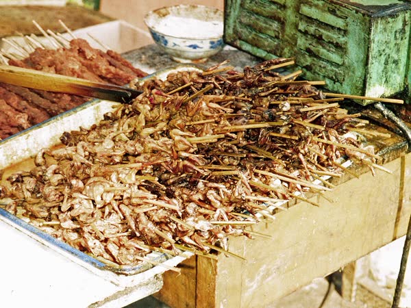 Grilled forest meat, Thịt rừng nướng