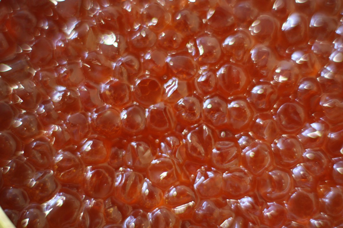 Salted salmon roe, Trứng cá hồi muối