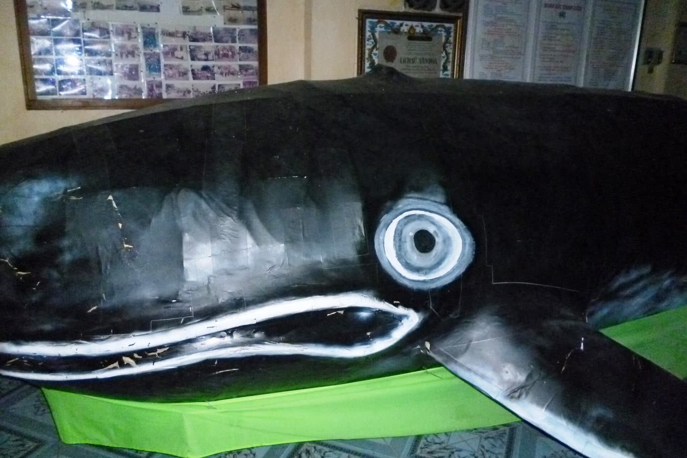 A whale model inside the Thang Tam whale hall in Vung Tau